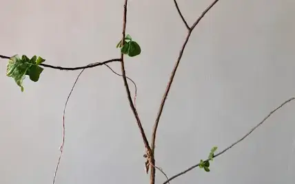 Screenshot 2025-10-11 234107.webp