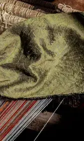 Screenshot 2025-10-12 093755.webp