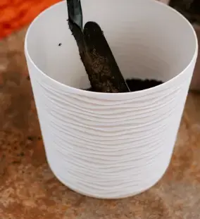 Screenshot 2025-10-12 094531.webp