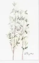 Screenshot 2025-10-12 095638.webp