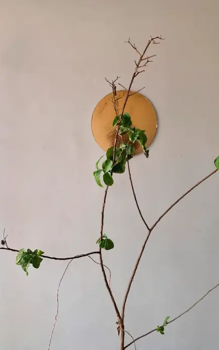 Macrame Wall Hanging – Boho Bliss